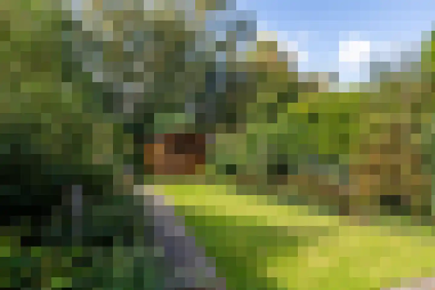 Kievitsbloem 7 Schoonhoven thumbnail 45