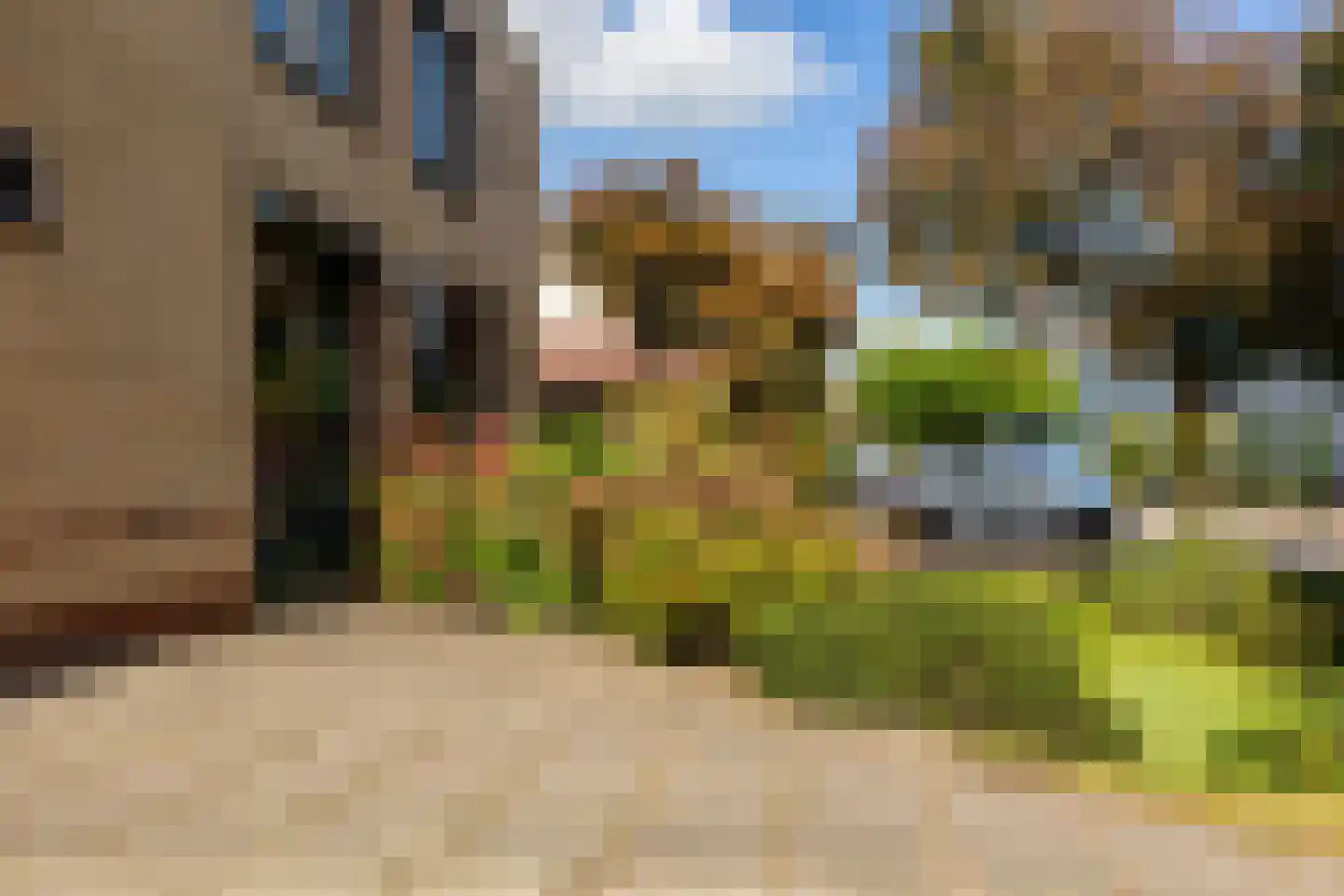 Kievitsbloem 7 Schoonhoven thumbnail 56