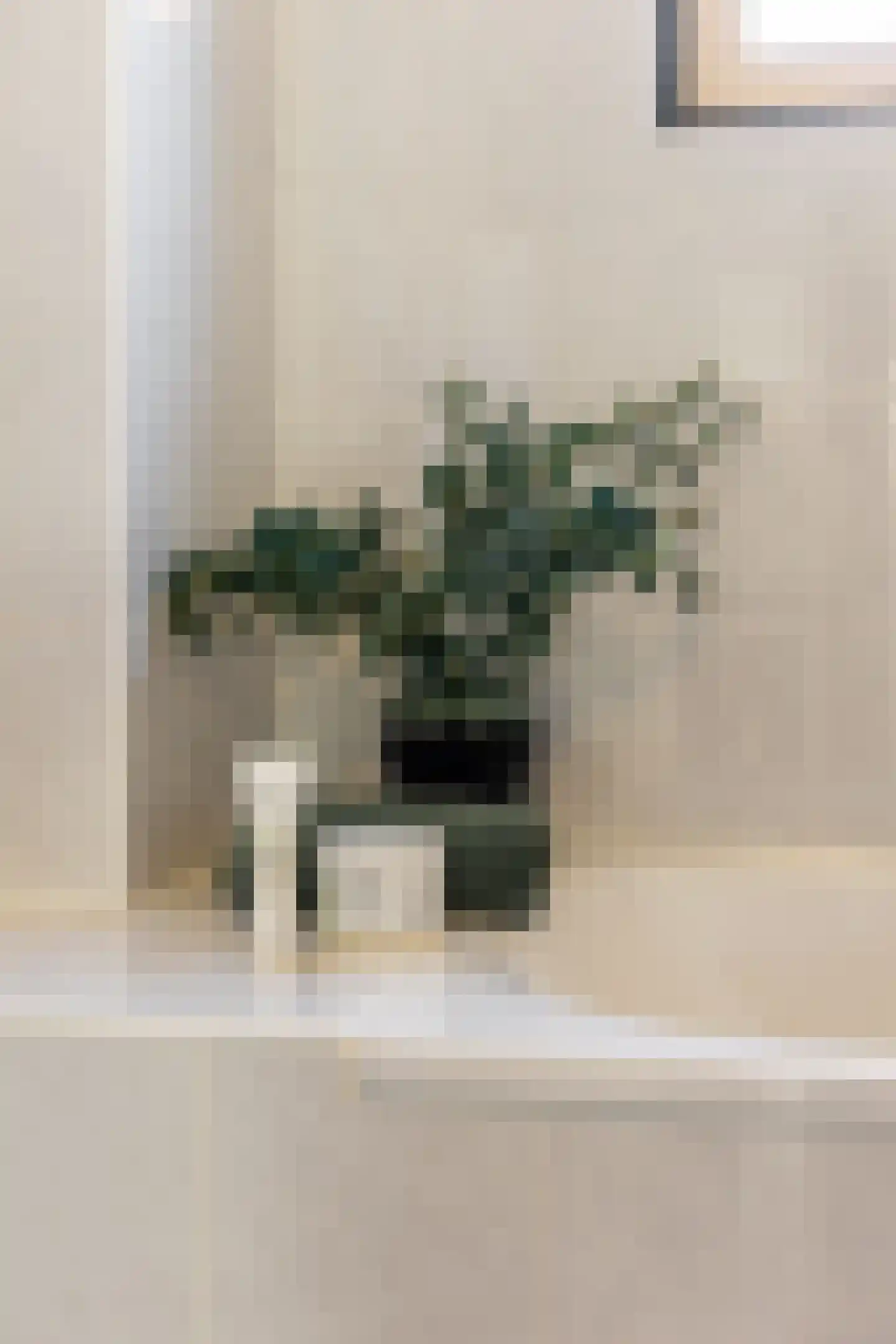 Kievitsbloem 7 Schoonhoven thumbnail 72