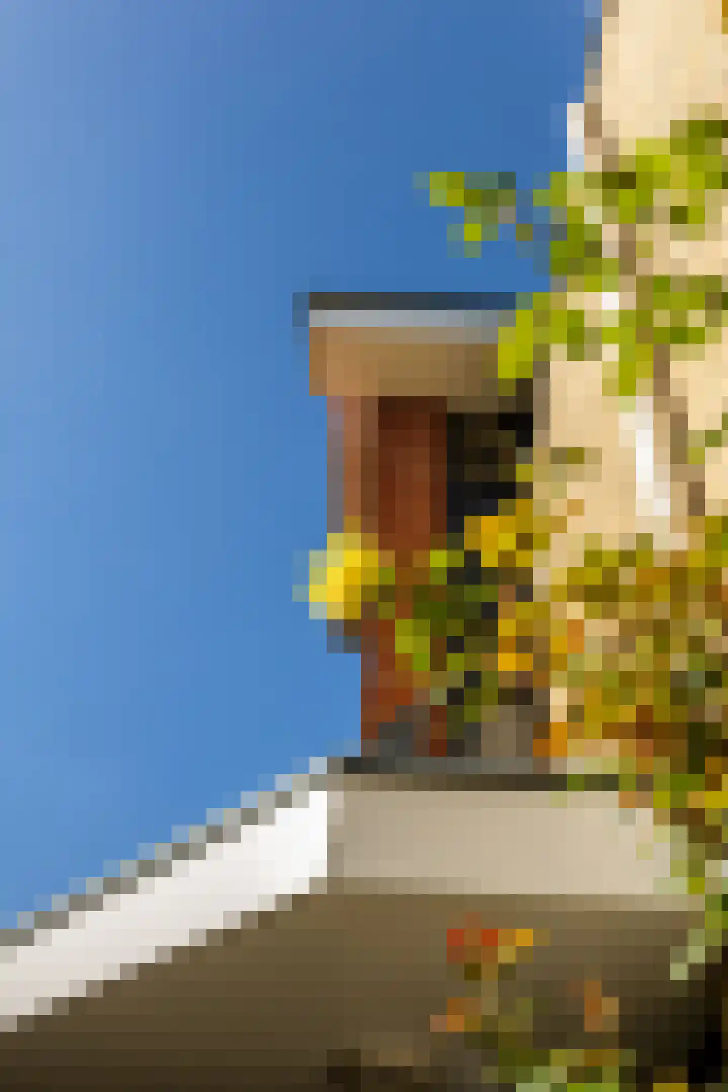 Kievitsbloem 7 Schoonhoven thumbnail 85