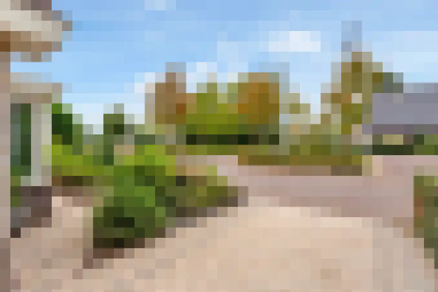 Kievitsbloem 9 Elburg thumbnail 14