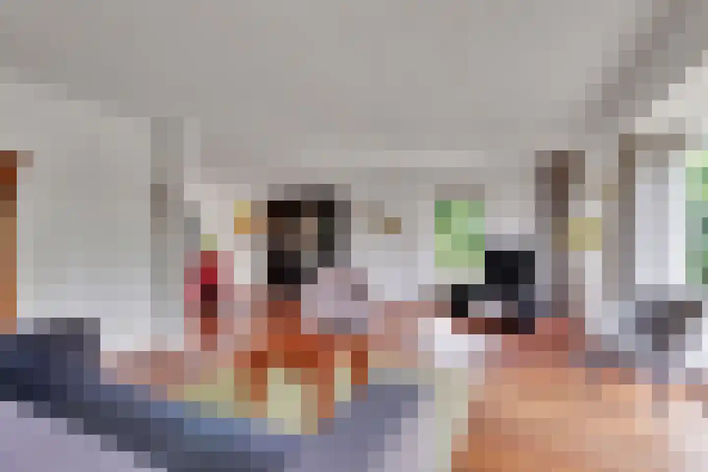 Kievitsbloem 9 Elburg thumbnail 21