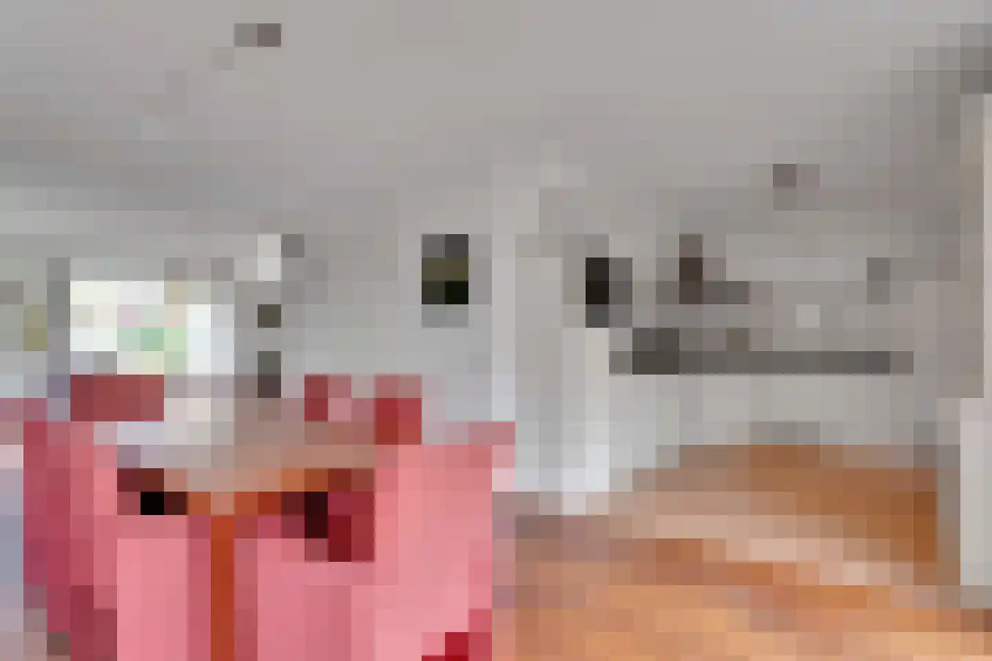 Kievitsbloem 9 Elburg thumbnail 27