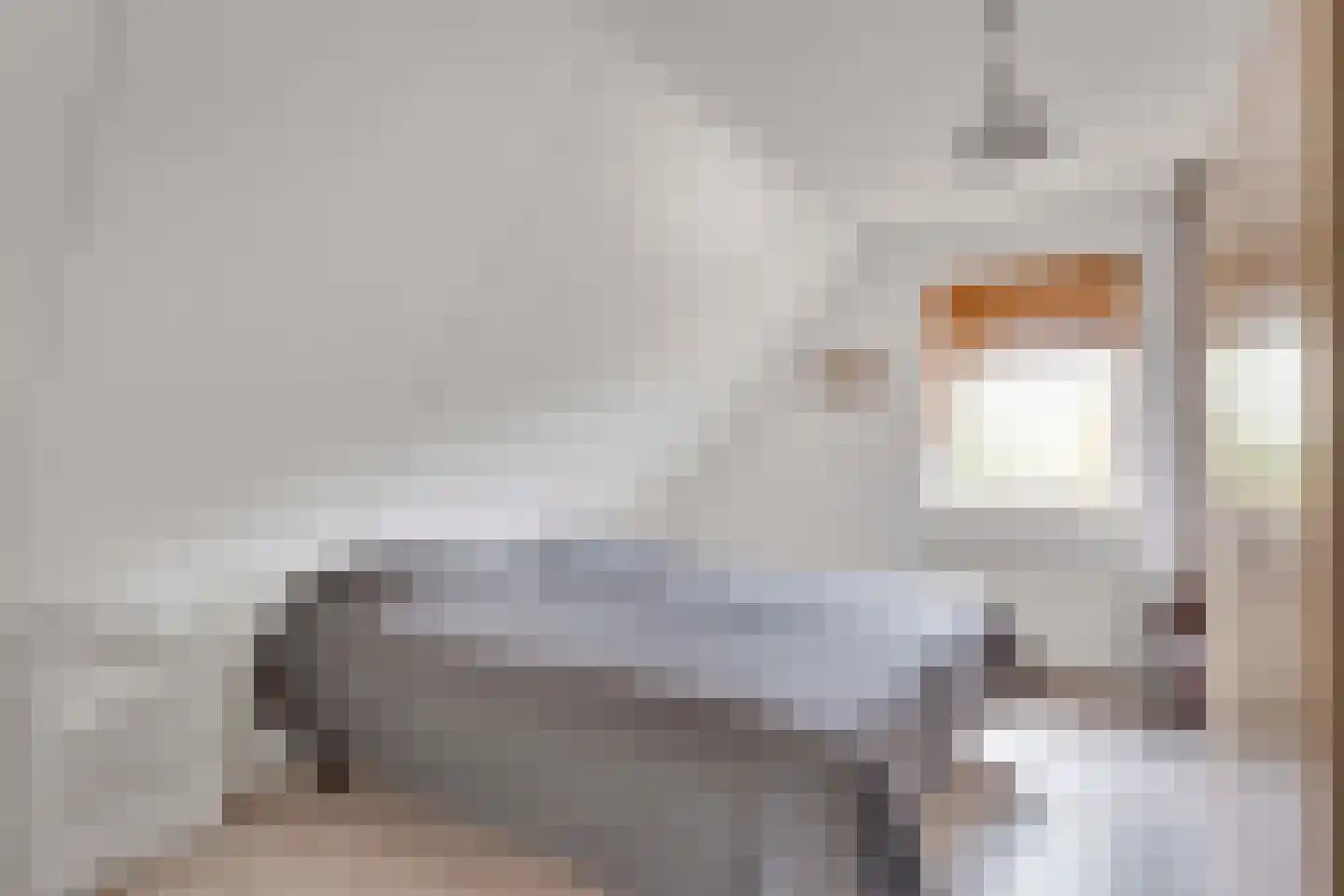 Kievitsbloem 9 Elburg thumbnail 36