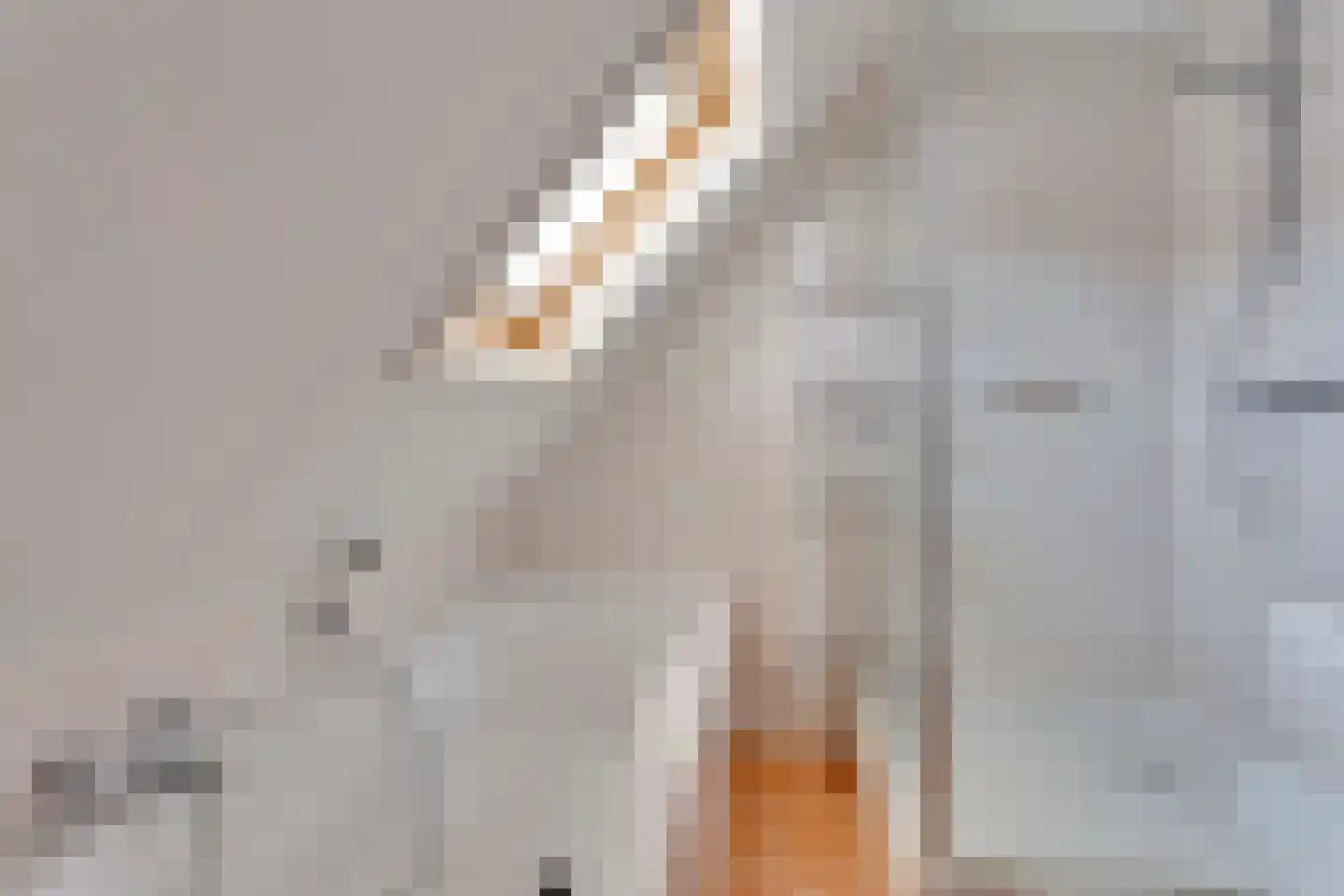 Kievitsbloem 9 Elburg thumbnail 41
