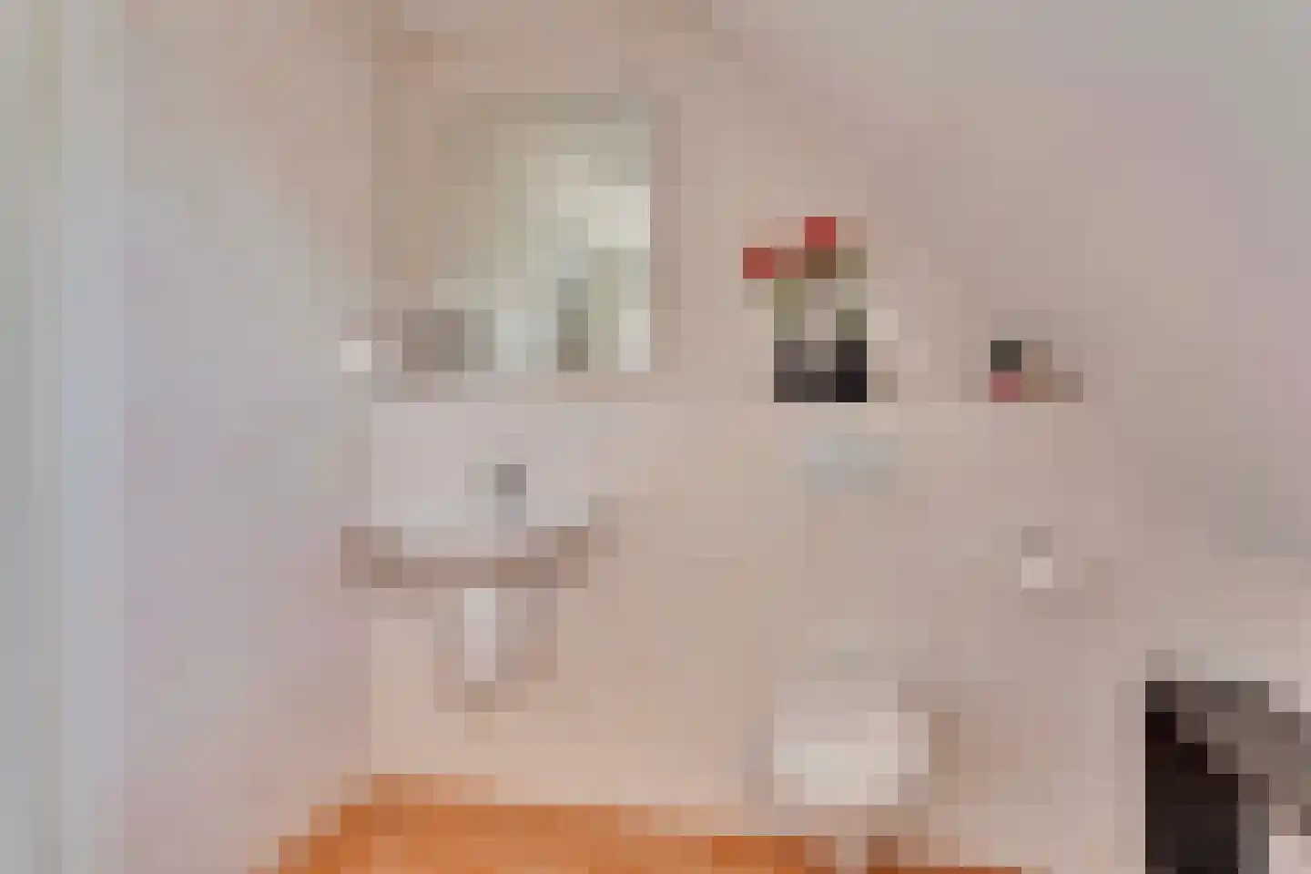 Kievitsbloem 9 Elburg thumbnail 42