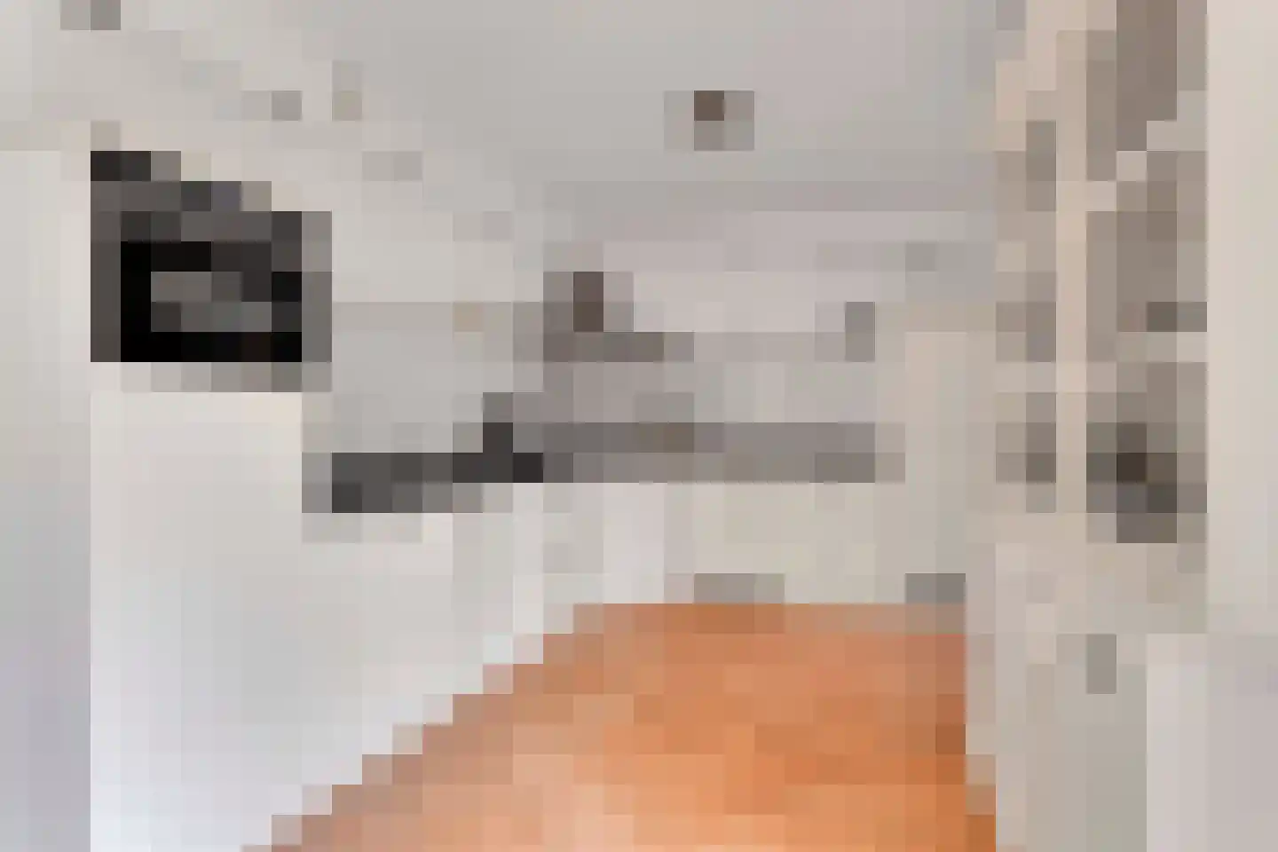 Kievitsbloem 9 Elburg thumbnail 5