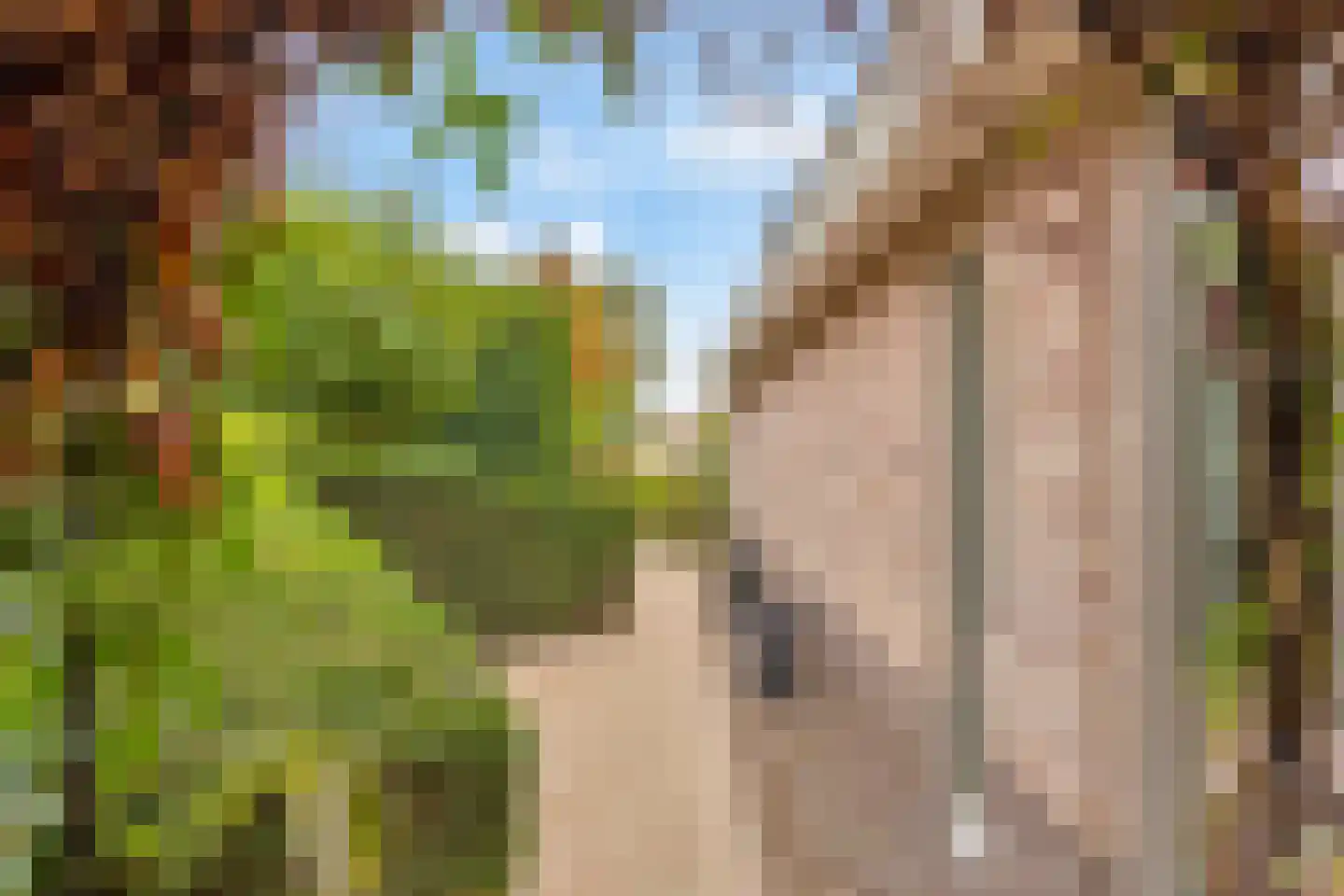 Kievitsbloem 9 Elburg thumbnail 53