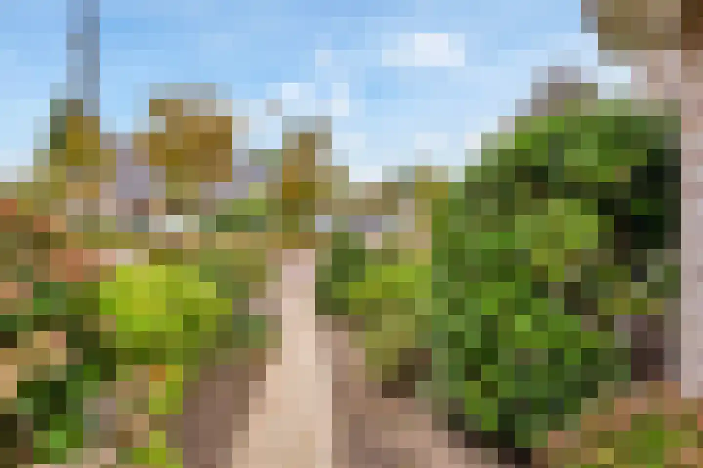 Kievitsbloem 9 Elburg thumbnail 54