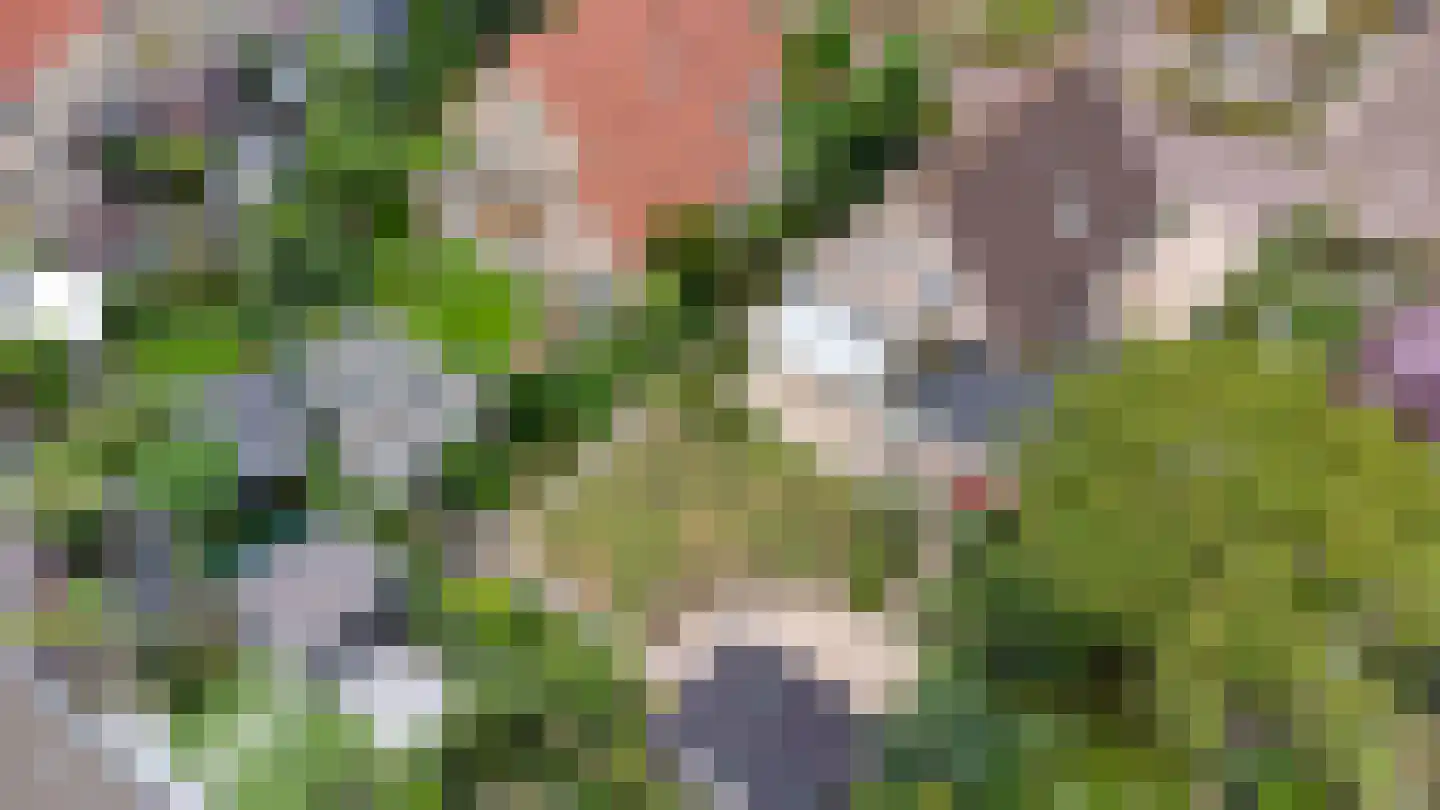 Kievitsbloem 9 Elburg thumbnail 55
