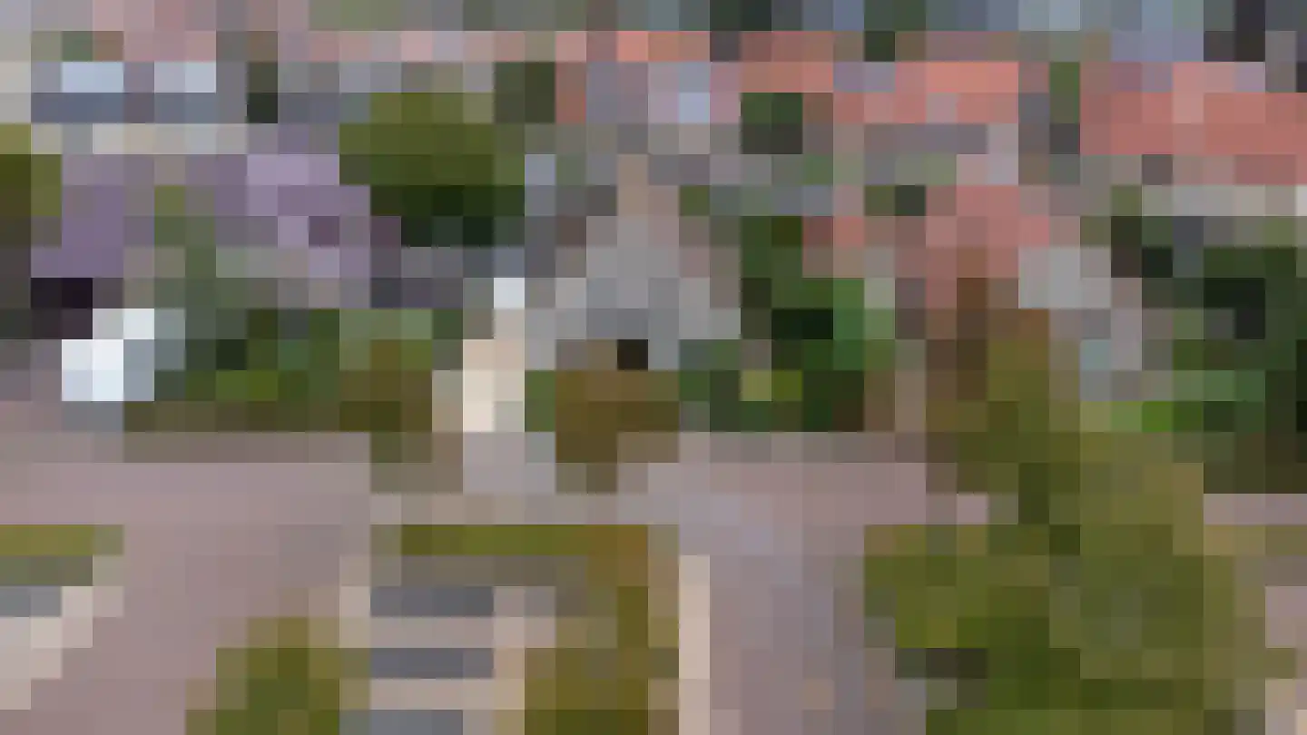 Kievitsbloem 9 Elburg thumbnail 56