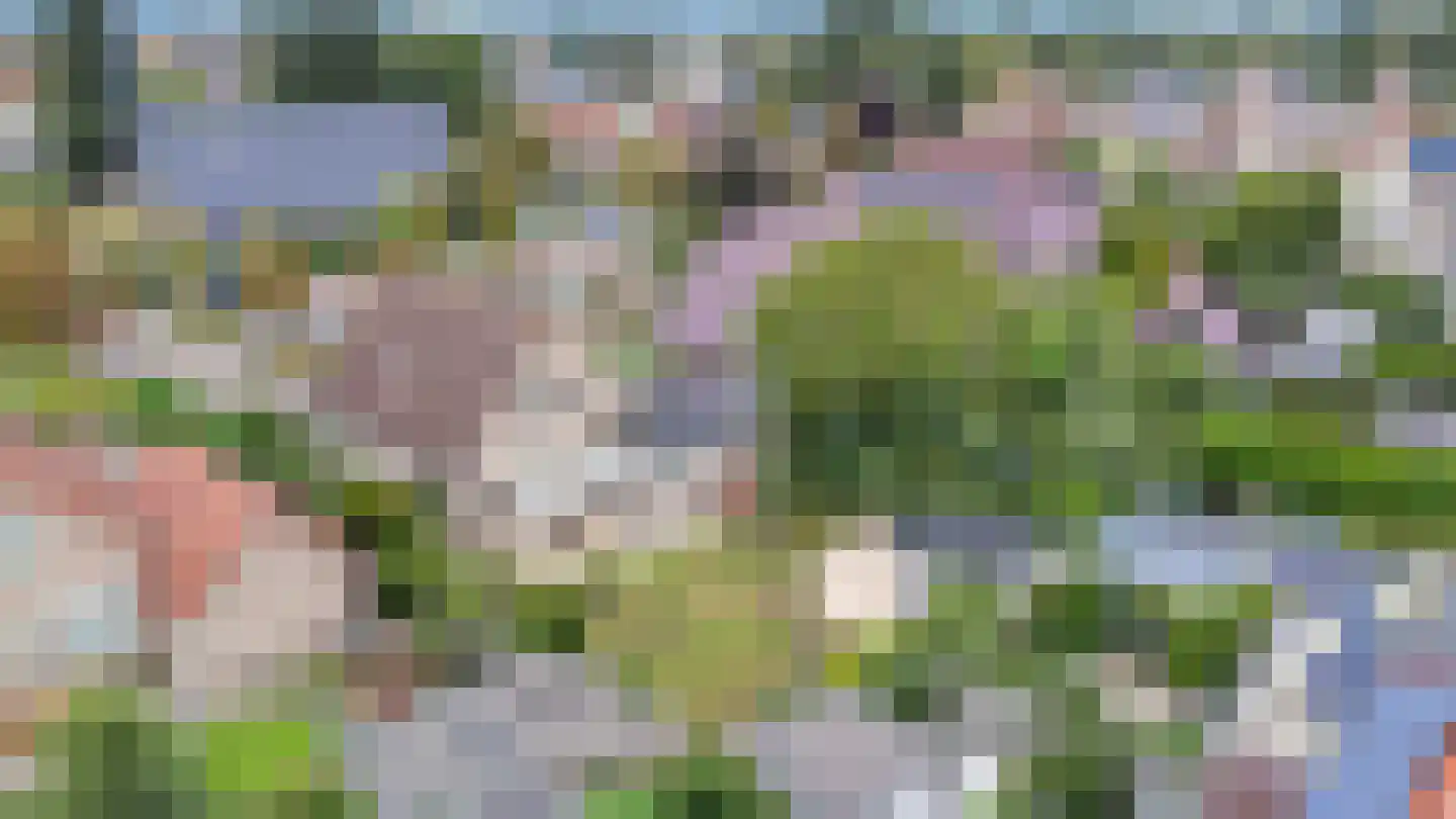 Kievitsbloem 9 Elburg thumbnail 60
