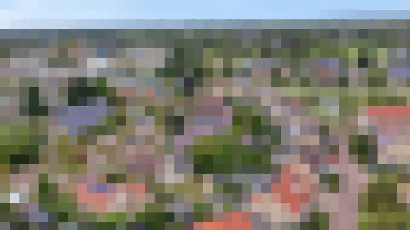 Kievitsbloem 9 Elburg thumbnail 61