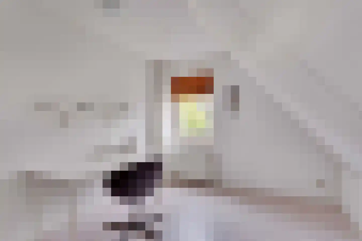 Kievitsbloem 9 Elburg thumbnail 9
