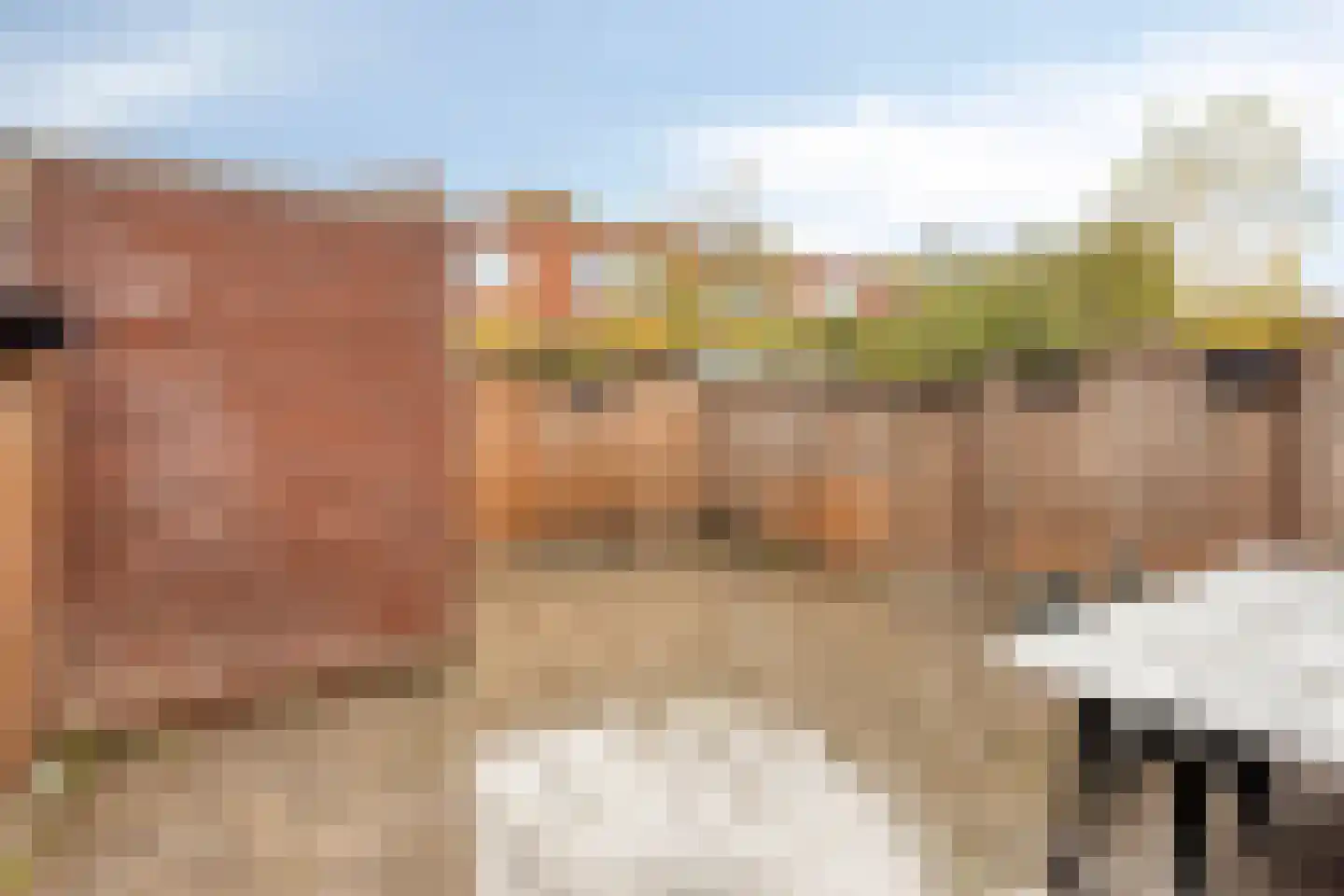 Kievitsbloemstraat 14 Arnhem thumbnail 18
