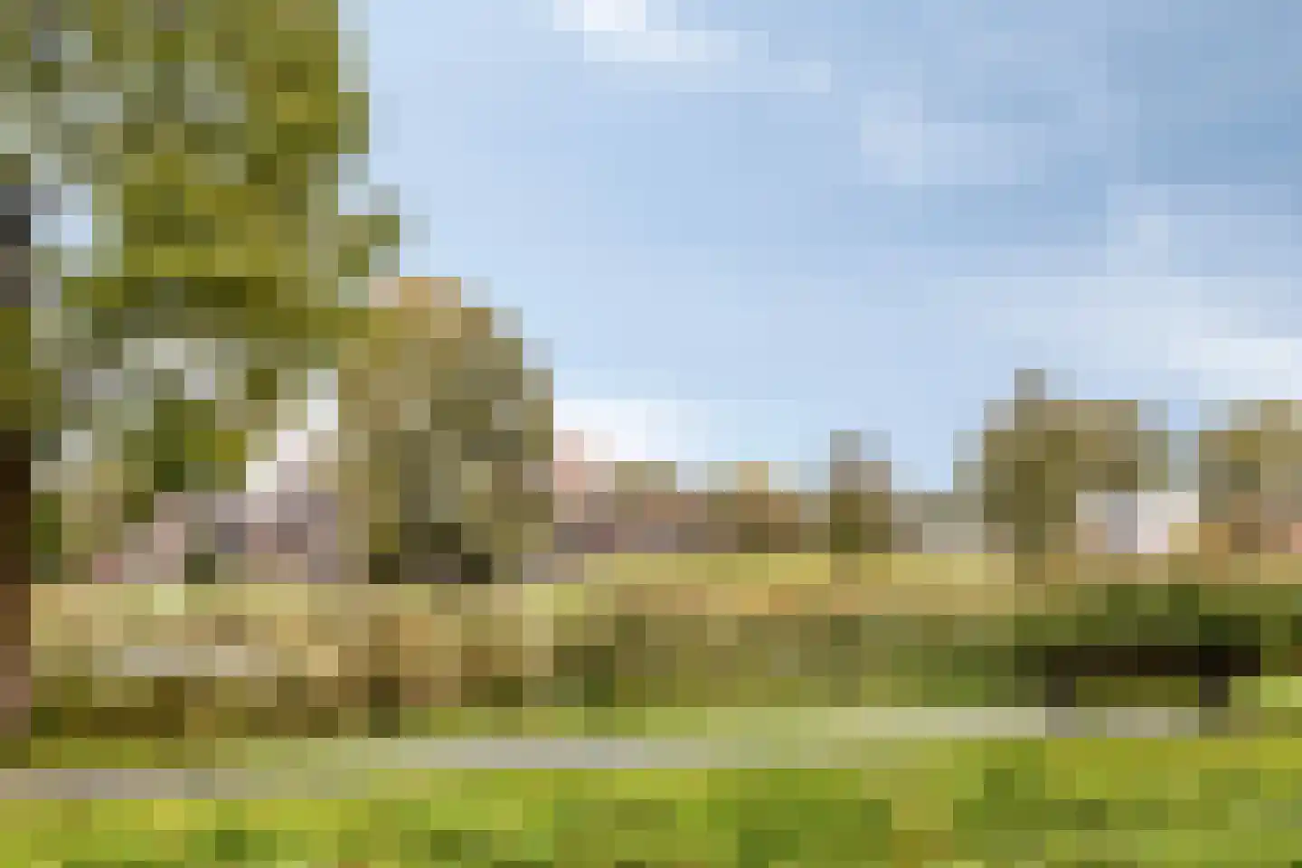 Kievitsbloemstraat 14 Arnhem thumbnail 34