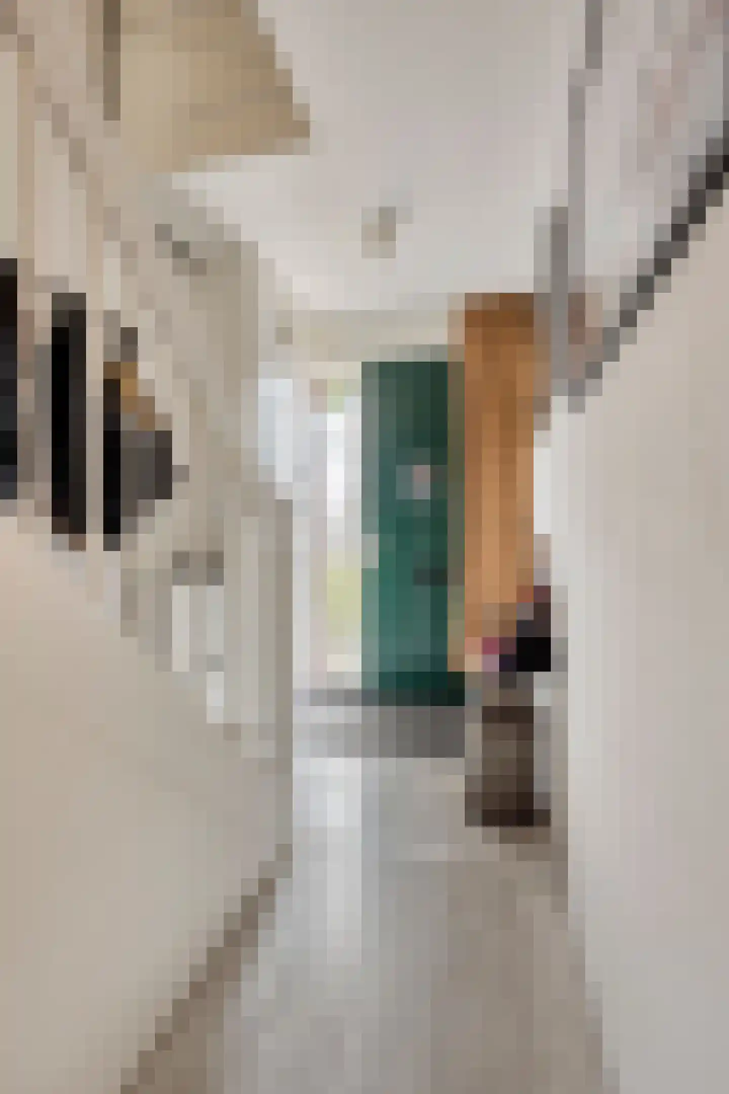 Kievitsbloemstraat 14 Arnhem thumbnail 9