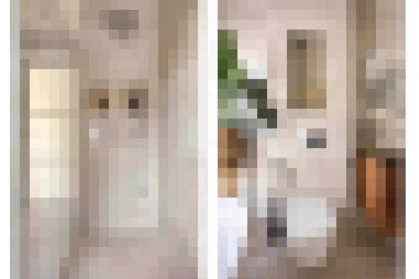 Kievitsbloemstraat 18 Arnhem thumbnail 20