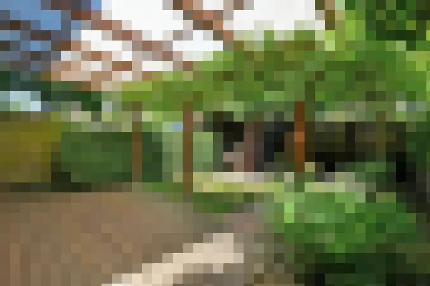 Kievitsbloemstraat 18 Arnhem thumbnail 47