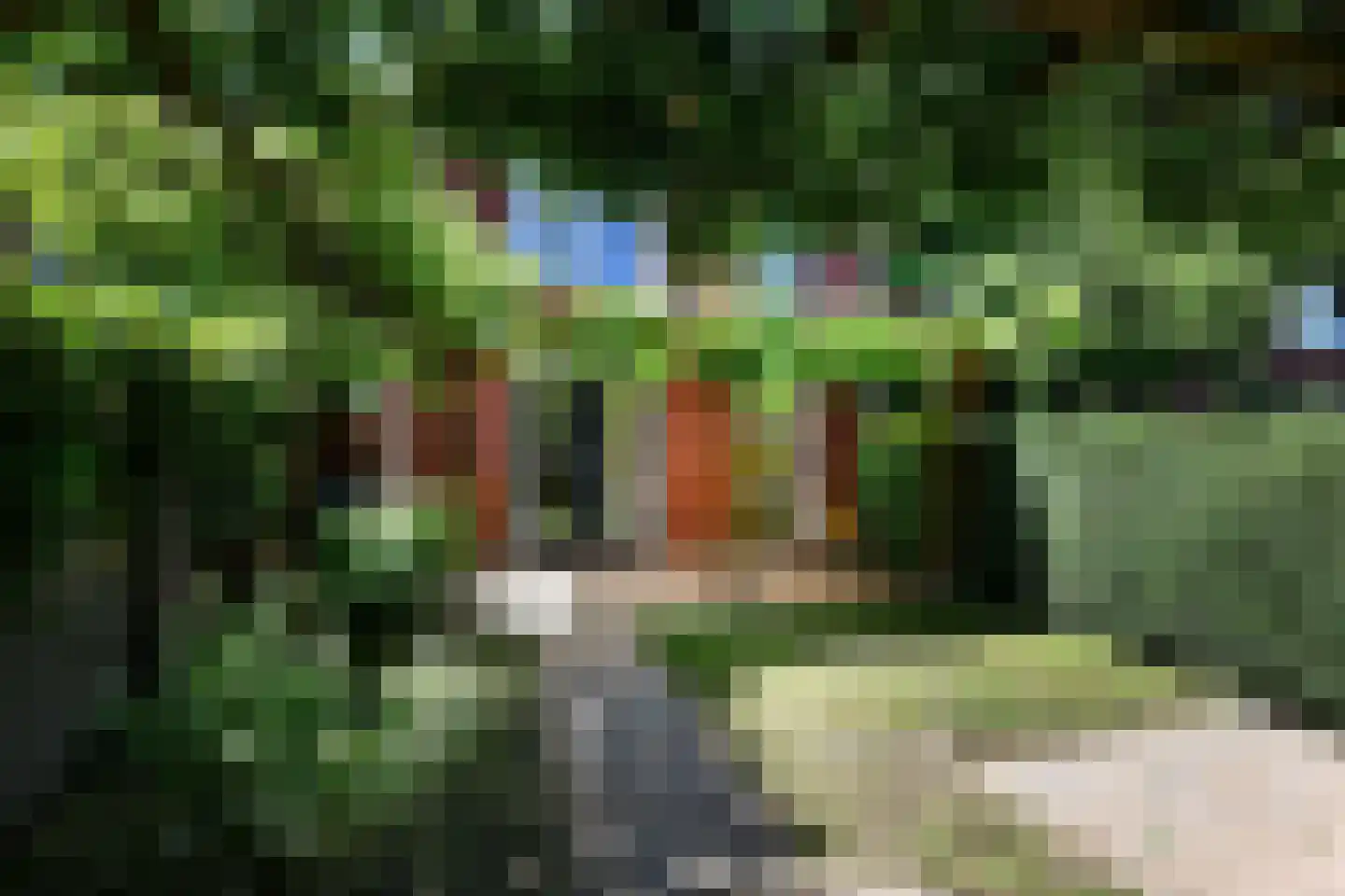 Kievitsbloemstraat 18 Arnhem thumbnail 50