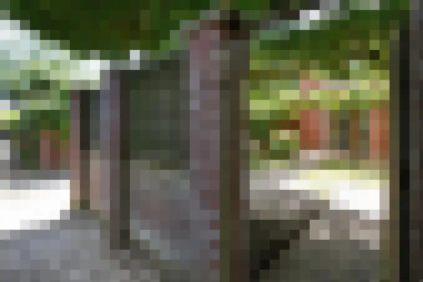 Kievitsbloemstraat 18 Arnhem thumbnail 54