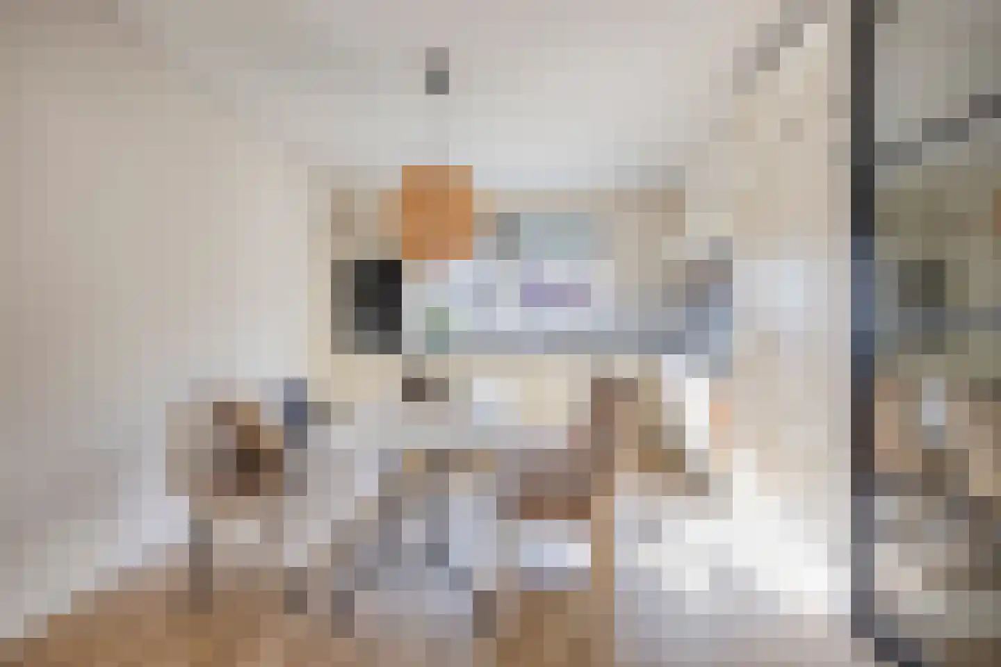 Kievitsbloemstraat 18 Arnhem thumbnail 9