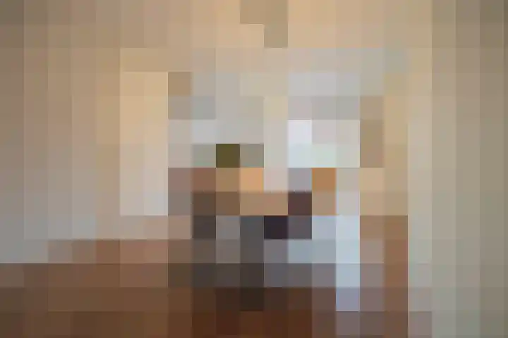 Kievitsbloemstraat 22 Arnhem thumbnail 21
