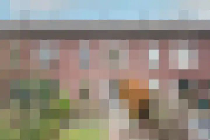 Kievitsbloemstraat 22 Arnhem thumbnail 6