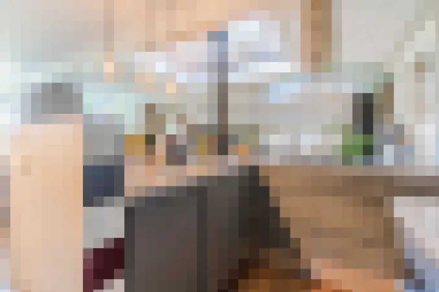 Kievitshaar 7 Balkbrug thumbnail 12