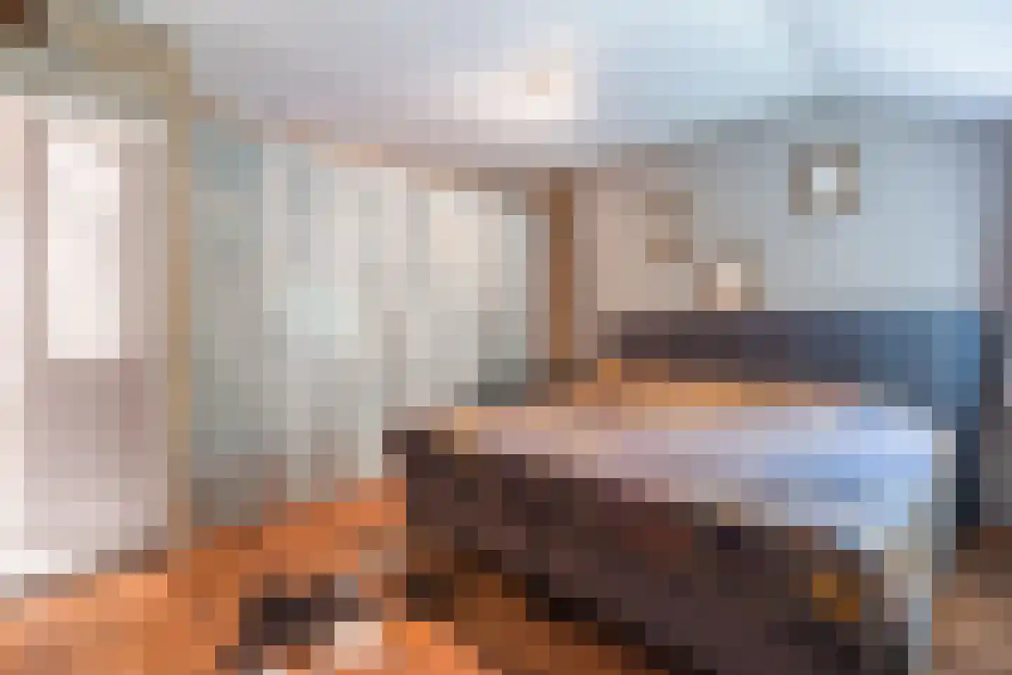 Kievitshaar 7 Balkbrug thumbnail 13