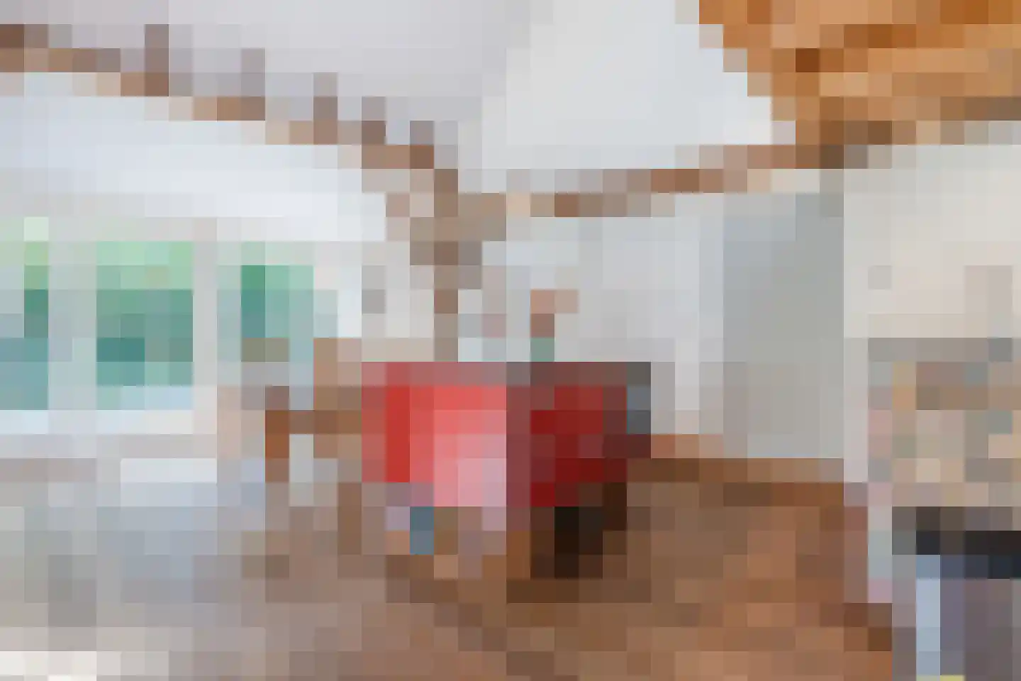 Kievitshaar 7 Balkbrug thumbnail 21