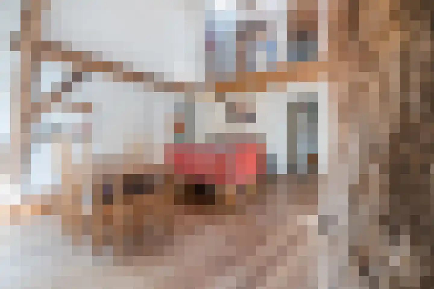 Kievitshaar 7 Balkbrug thumbnail 22