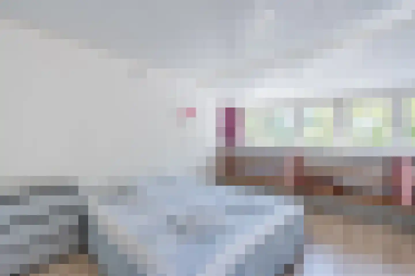 Kievitshaar 7 Balkbrug thumbnail 37