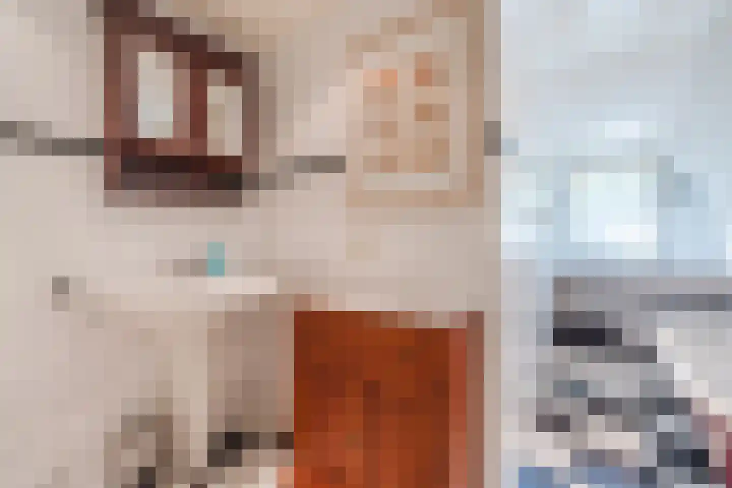 Kievitshaar 7 Balkbrug thumbnail 39
