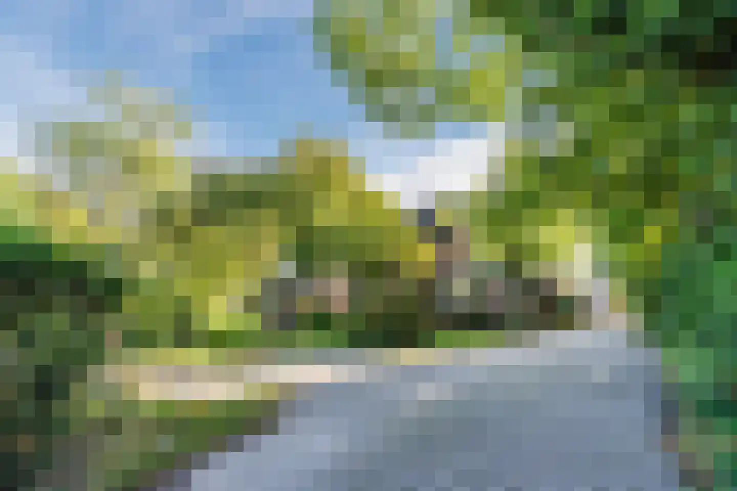 Kievitshaar 7 Balkbrug thumbnail 4