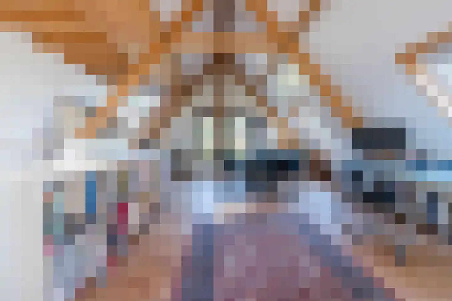Kievitshaar 7 Balkbrug thumbnail 49