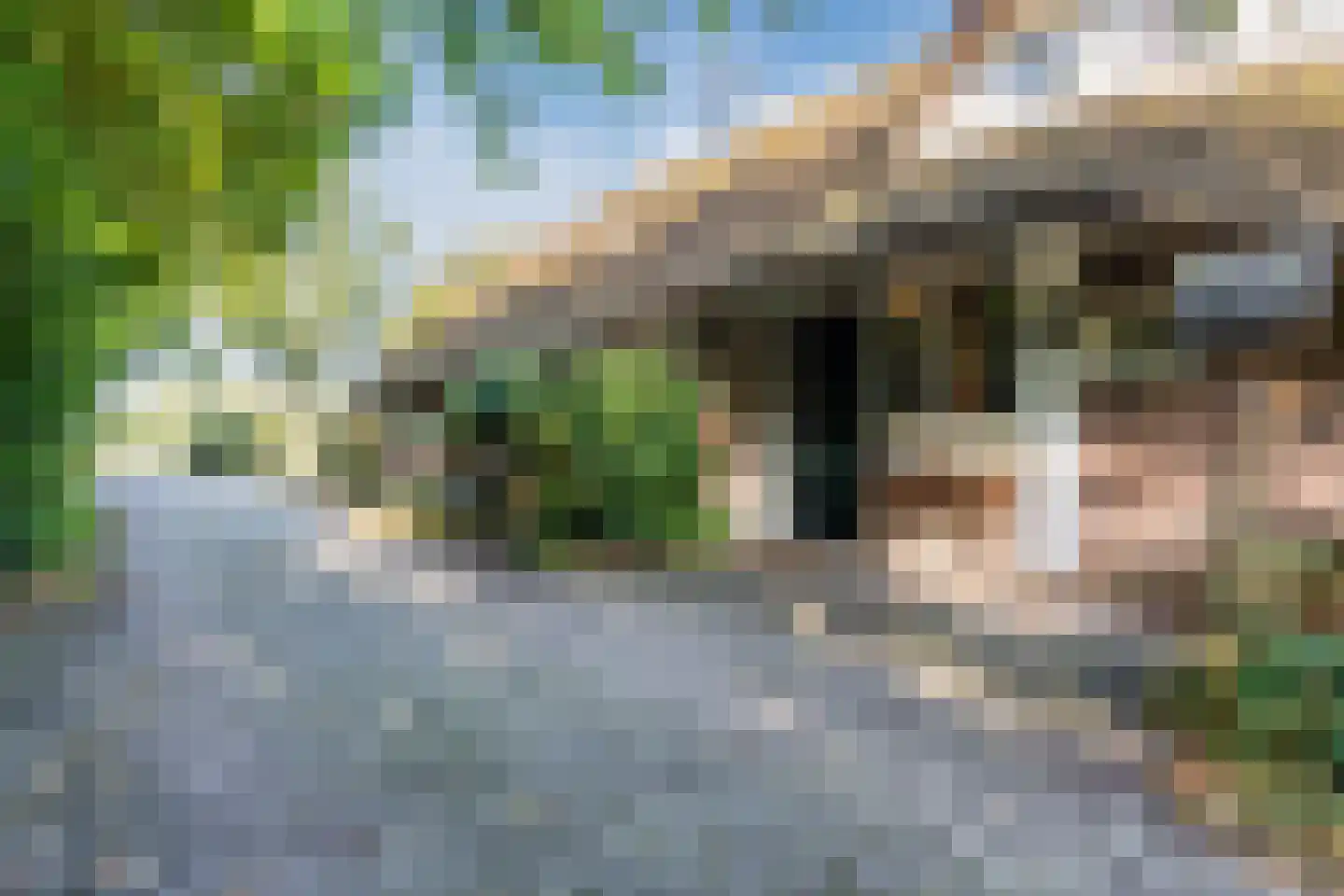 Kievitshaar 7 Balkbrug thumbnail 5