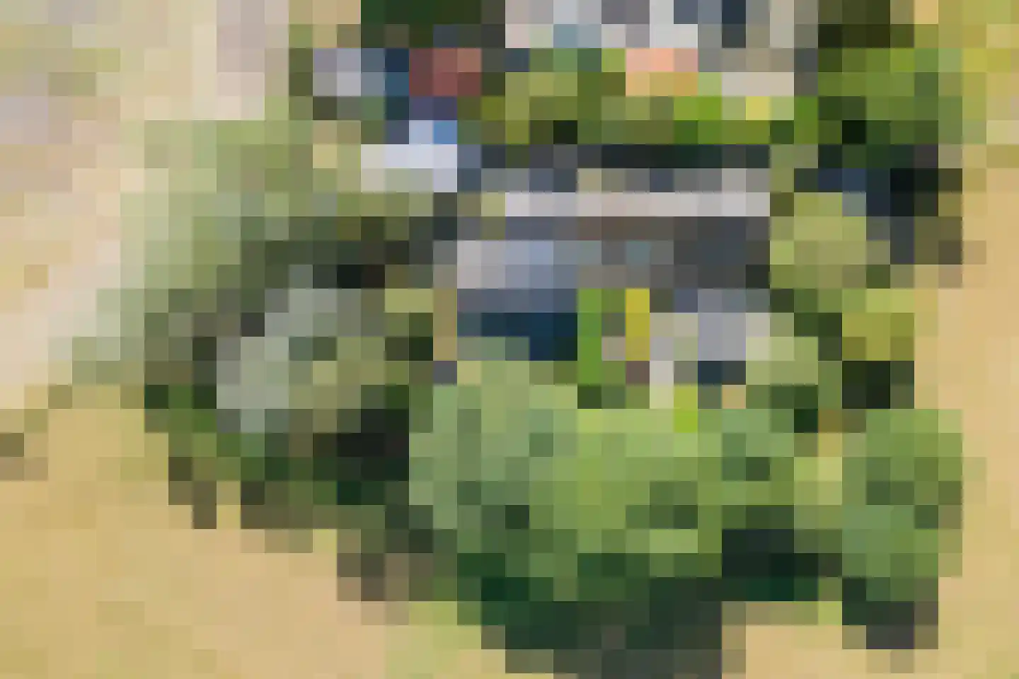 Kievitshaar 7 Balkbrug thumbnail 50