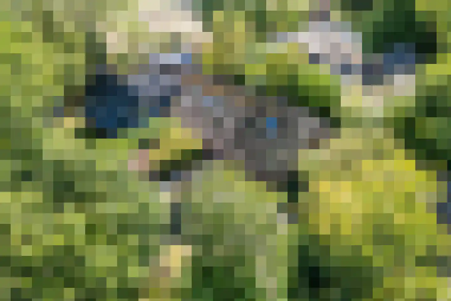 Kievitshaar 7 Balkbrug thumbnail 51