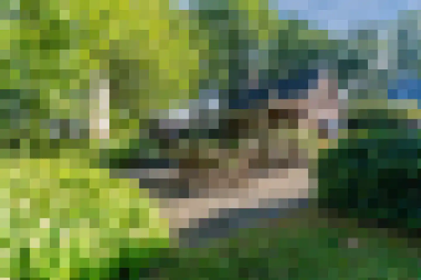 Kievitshaar 7 Balkbrug thumbnail 52