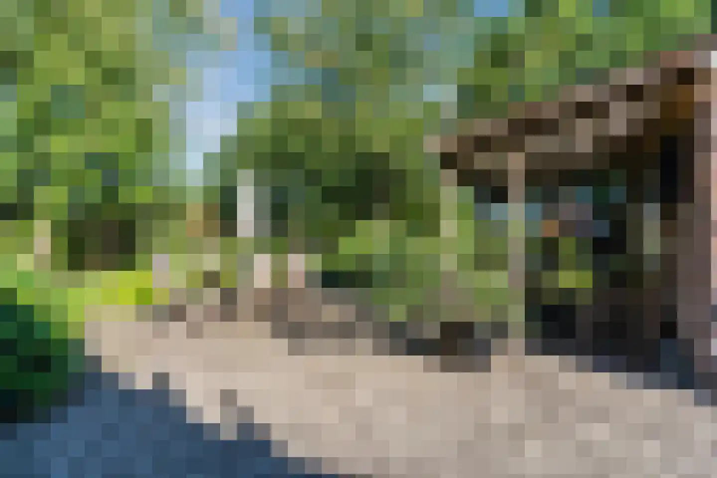 Kievitshaar 7 Balkbrug thumbnail 54