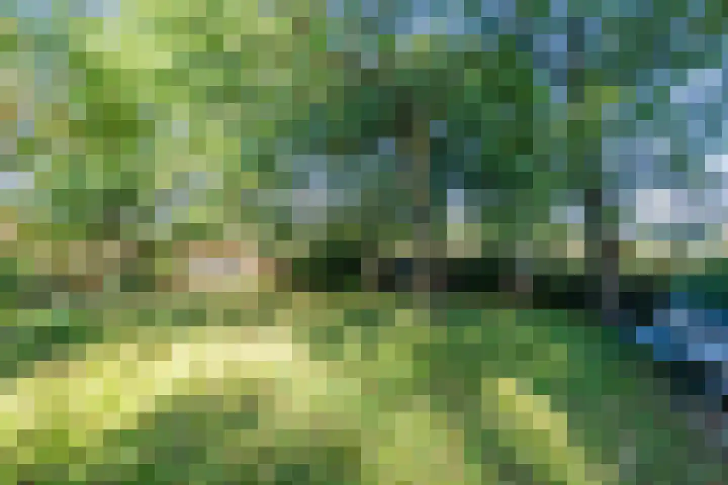 Kievitshaar 7 Balkbrug thumbnail 55