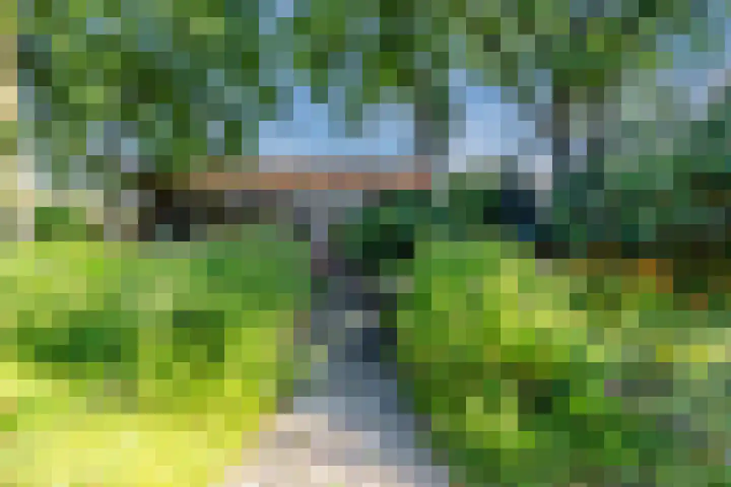 Kievitshaar 7 Balkbrug thumbnail 56