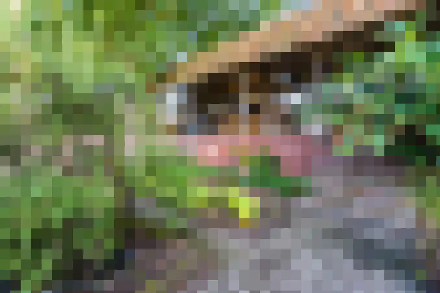 Kievitshaar 7 Balkbrug thumbnail 57