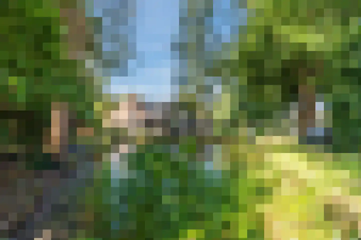 Kievitshaar 7 Balkbrug thumbnail 59