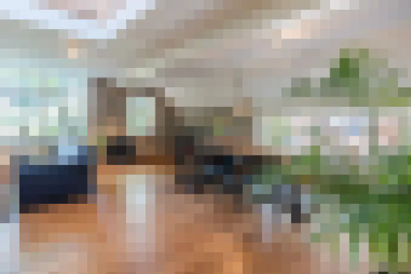 Kievitshaar 7 Balkbrug thumbnail 6