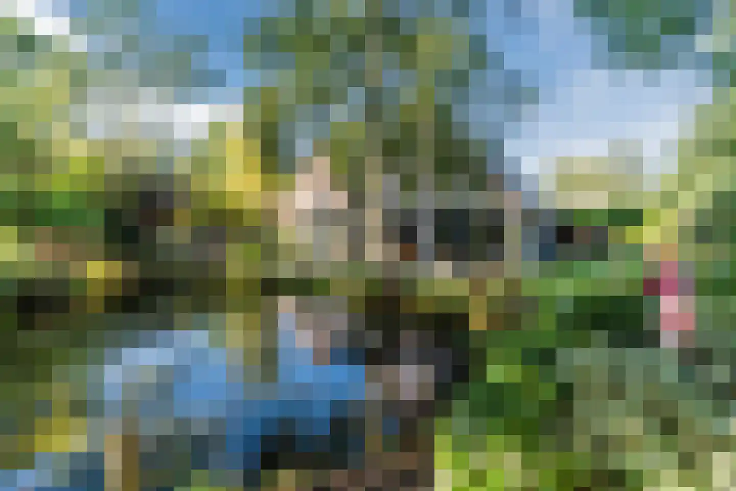 Kievitshaar 7 Balkbrug thumbnail 60