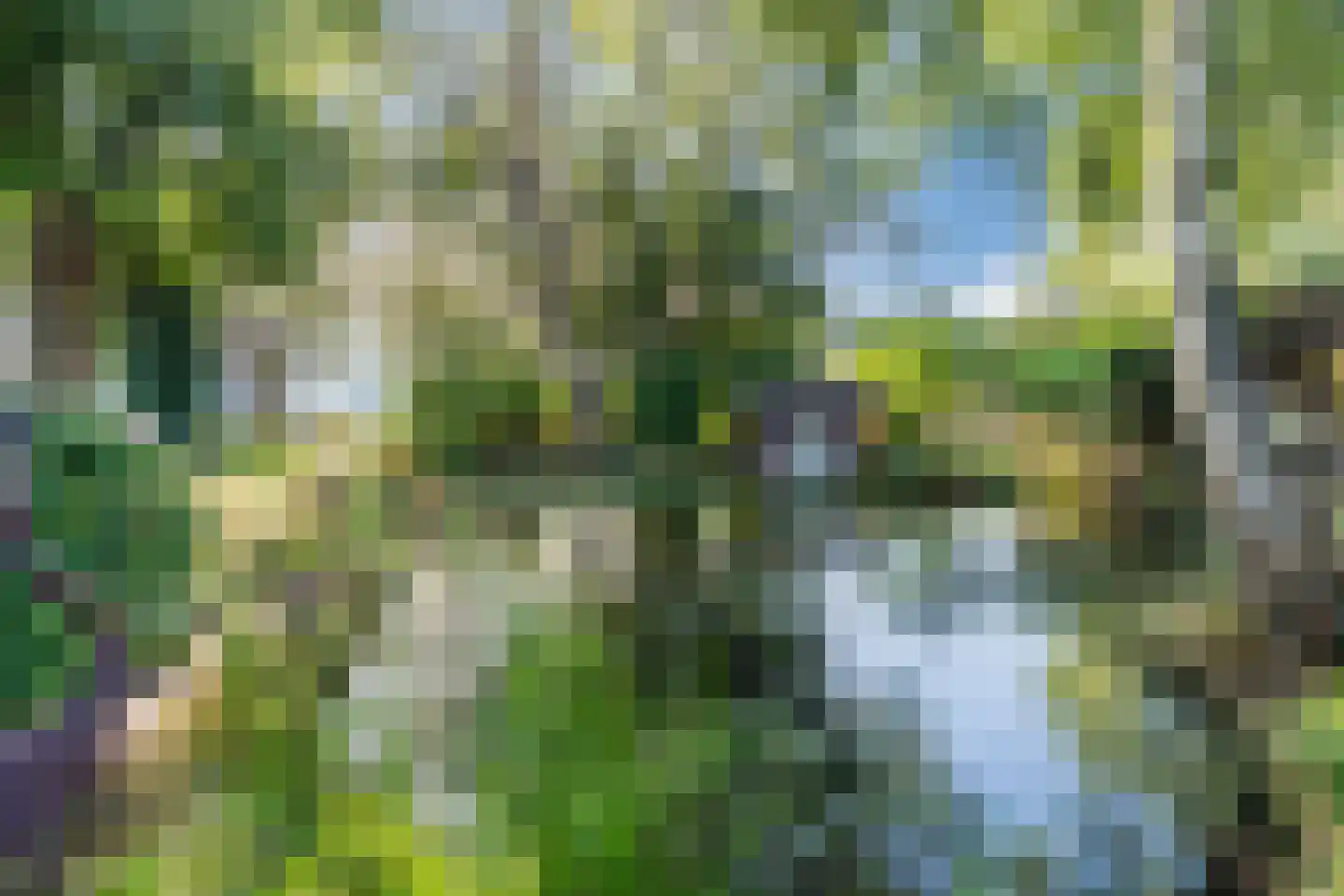 Kievitshaar 7 Balkbrug thumbnail 61
