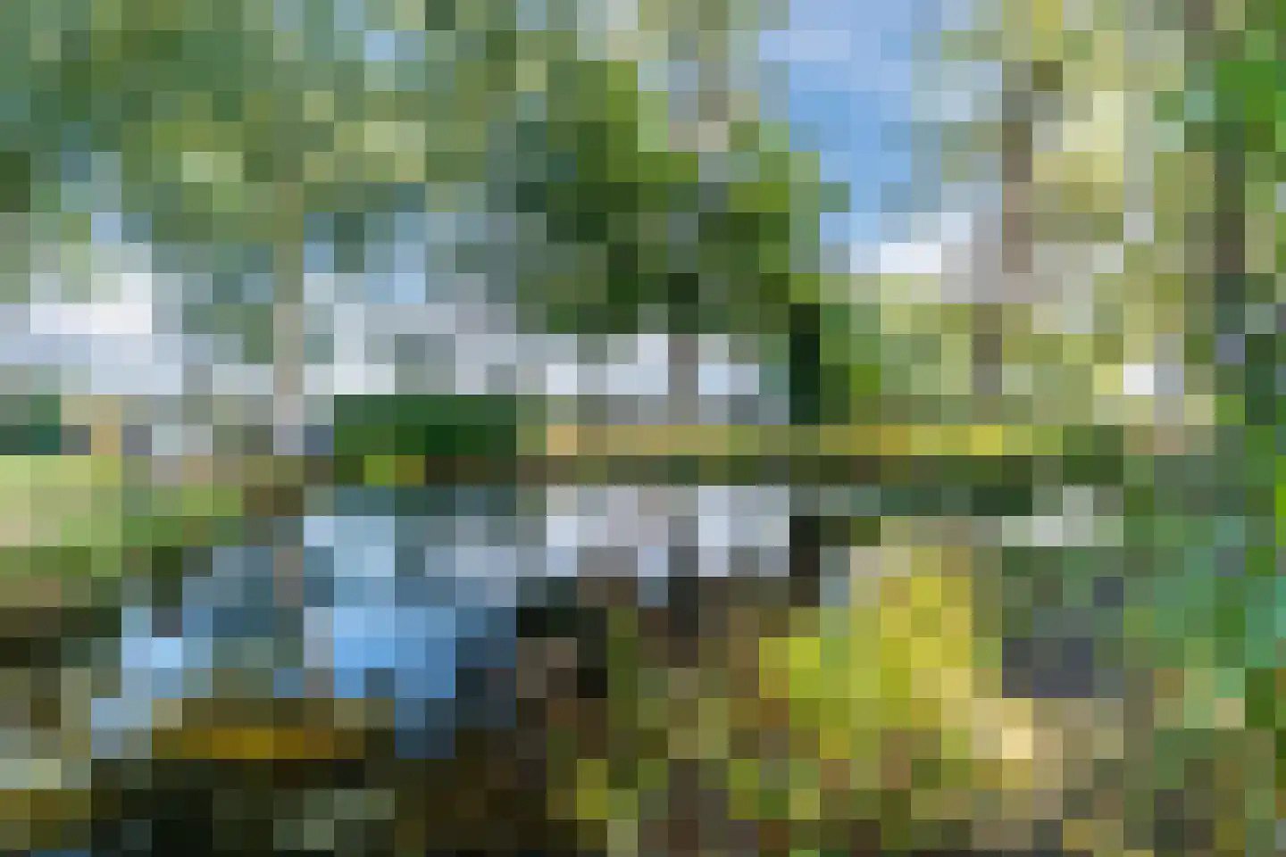 Kievitshaar 7 Balkbrug thumbnail 62