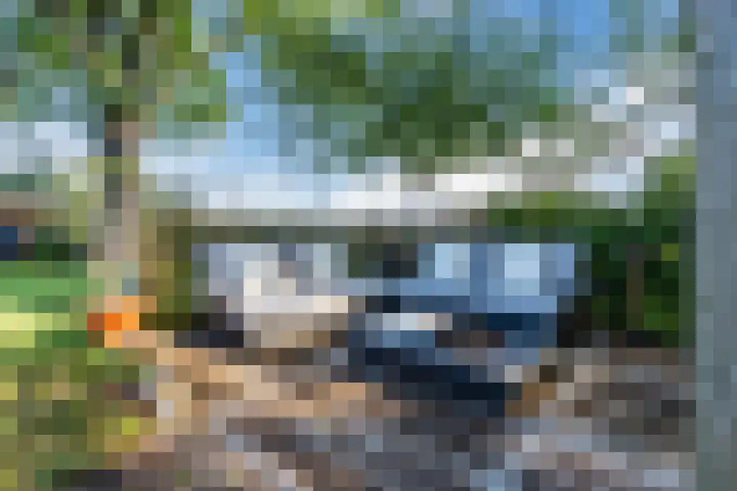 Kievitshaar 7 Balkbrug thumbnail 63